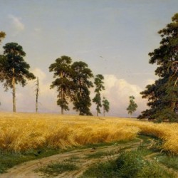 A Rye Field